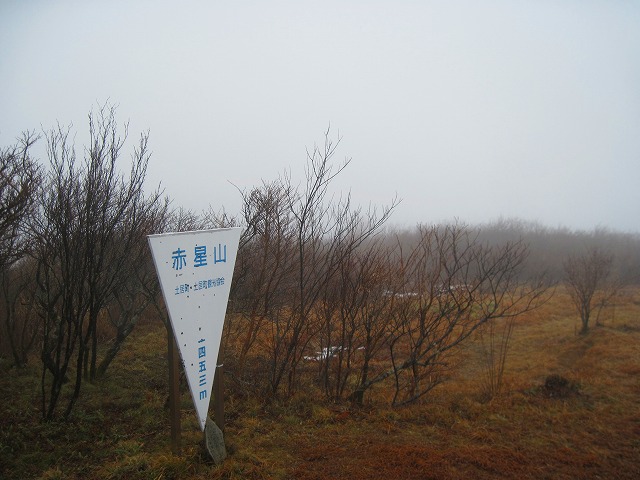 c0219866_1215418.jpg