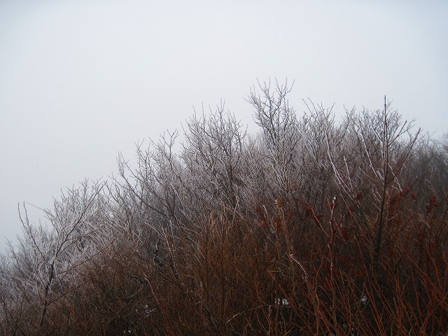 c0219866_1221453.jpg