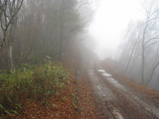 c0219866_1252444.jpg