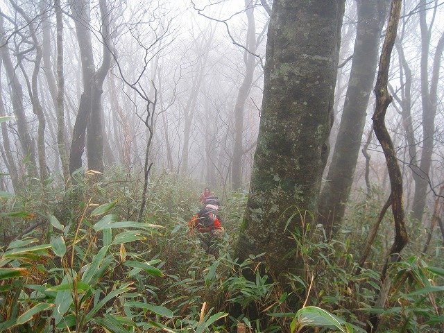 c0219866_1282062.jpg