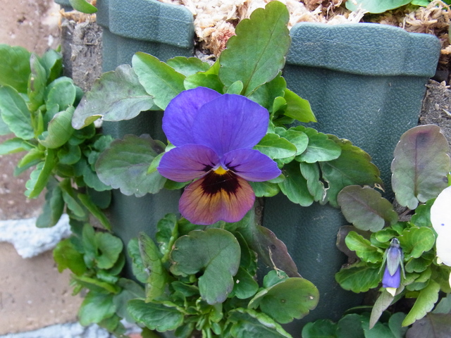b0194267_20414460.jpg