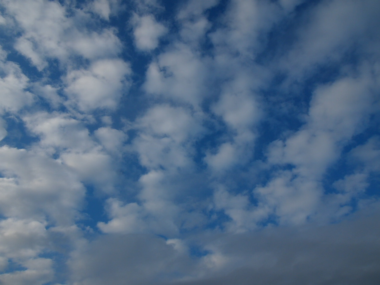 雨が降ったり曇ったり晴れたり_b0273573_16433478.jpg