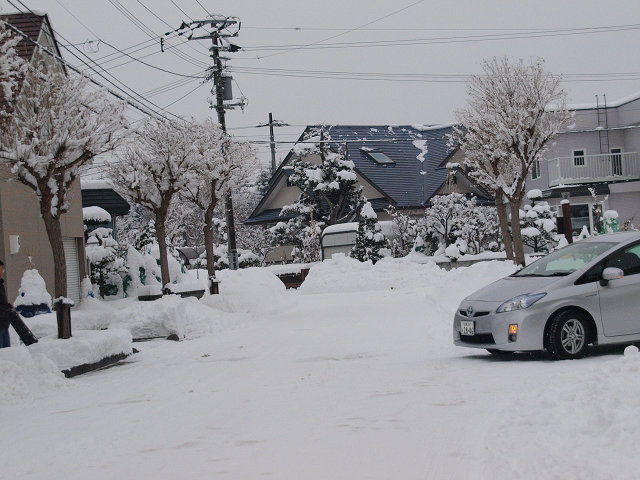 衆議院選挙所への道_a0151577_124311.jpg