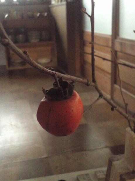 e0203580_11103370.jpg