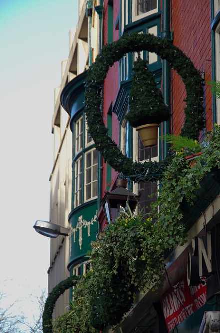 e0250481_144214.jpg