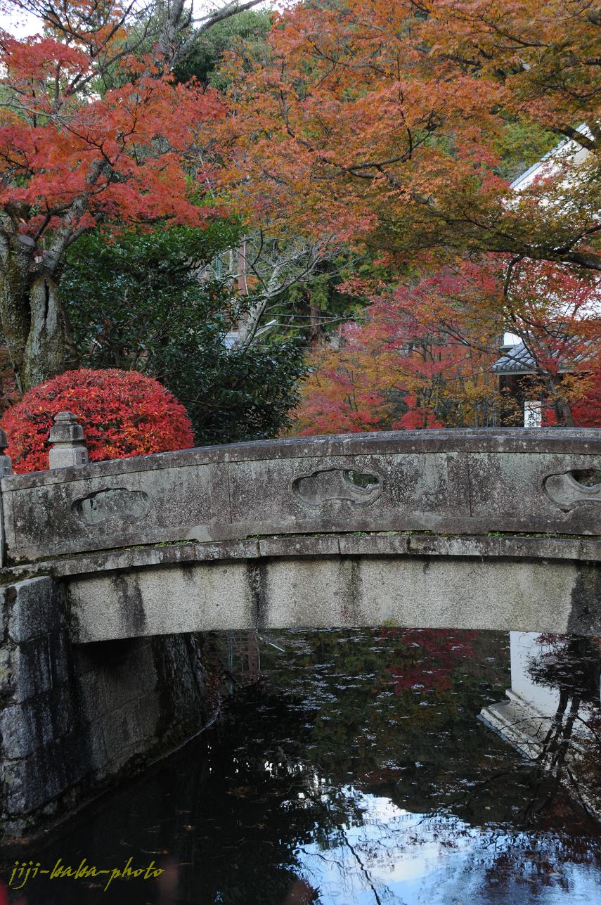 洛中・清水寺_d0239891_1530356.jpg