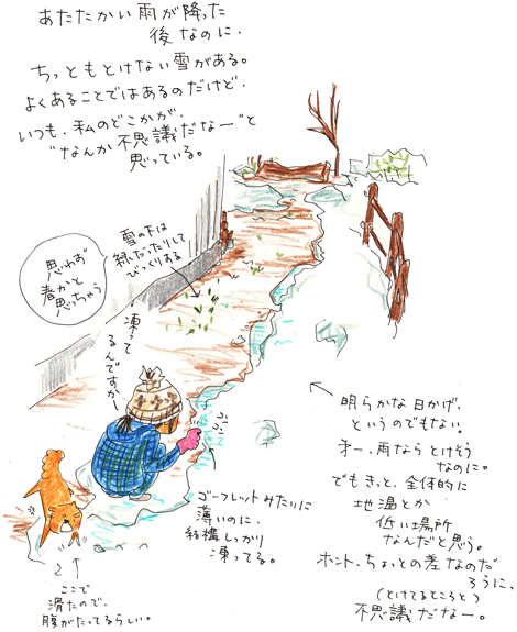 f0236291_1150333.gif