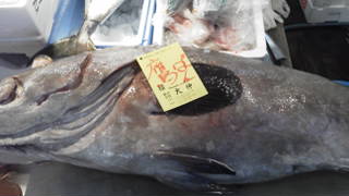 f0084695_1214261.jpg