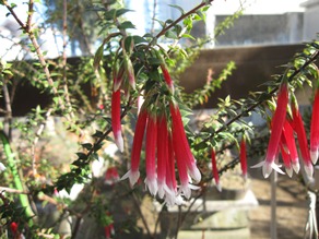 c0117898_22465217.jpg