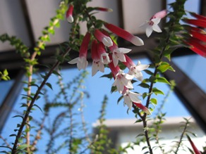 c0117898_2248513.jpg
