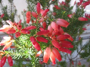 c0117898_2251213.jpg