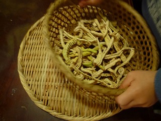 d0013610_1229545.jpg
