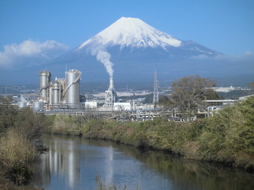 しっかり根付き、来年の開花に期待が高まる滝川のヒガンバナ_f0141310_721012.jpg