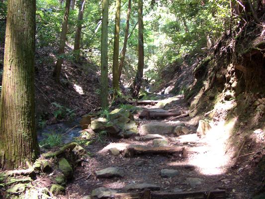 二上山（５）  祐泉寺から登る_d0288411_10232878.jpg