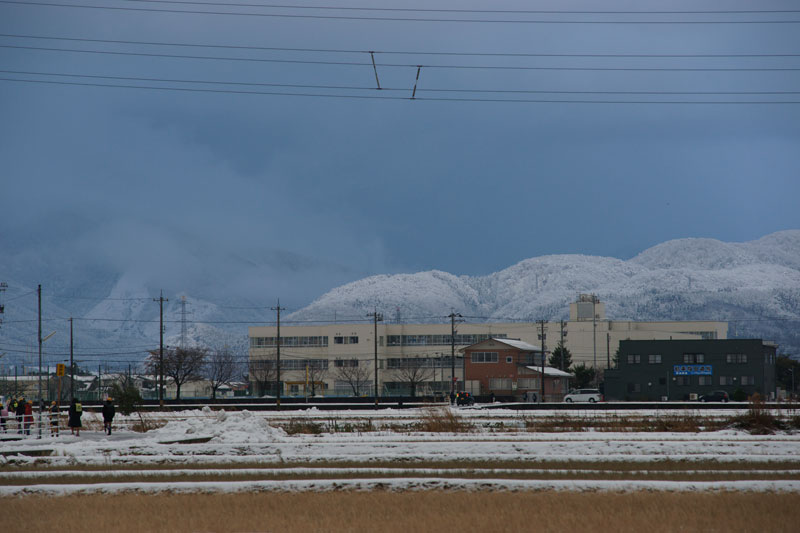 a0278914_56444.jpg