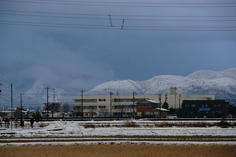 a0278914_585167.jpg
