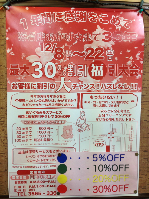 今週のお花とセール情報_a0200423_1905725.jpg