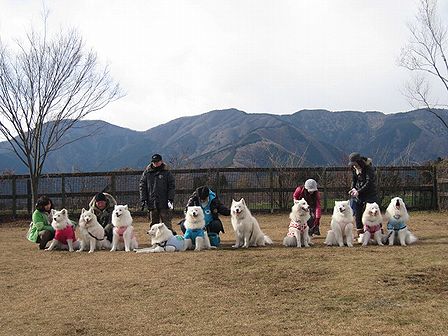 富士サモ2012　少しだけ2日目も。_f0213924_152659.jpg