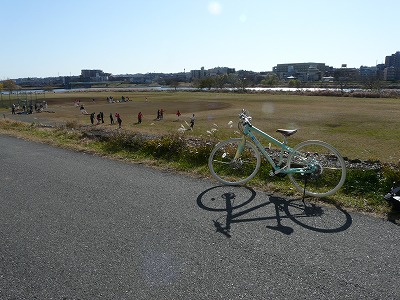 おにゃじとバキ “都知事選挙投票日に多摩川”を走る_b0166128_10581537.jpg