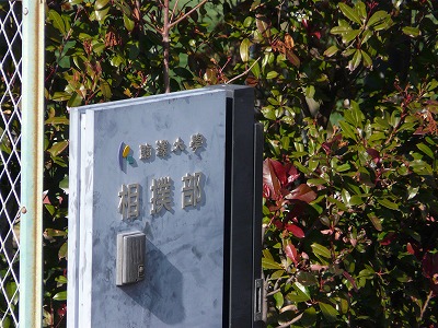 おにゃじとバキ “都知事選挙投票日に多摩川”を走る_b0166128_112718.jpg