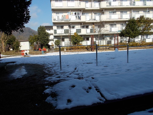 f0111128_1328625.jpg