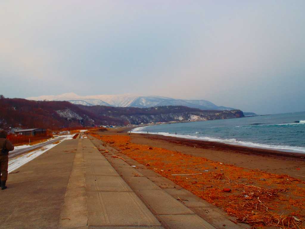 e0186633_17552746.jpg