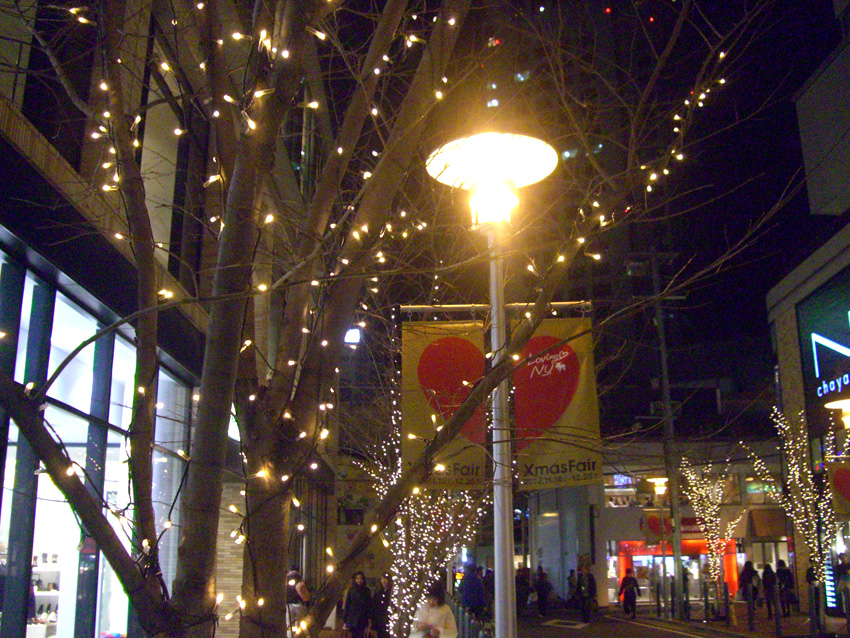 c0036635_2018478.jpg