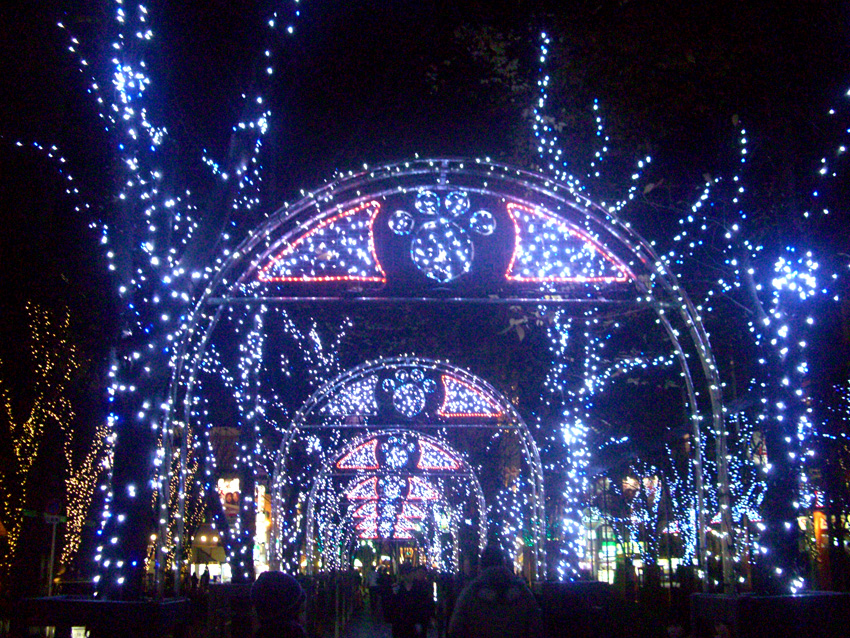 c0036635_2054969.jpg
