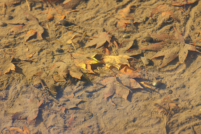 c0067040_22474790.jpg