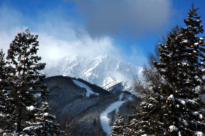 大雪の朝_c0002943_0442055.jpg