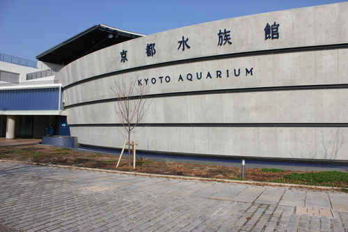 歩く京都　三日目は京都水族館_c0137444_90478.jpg