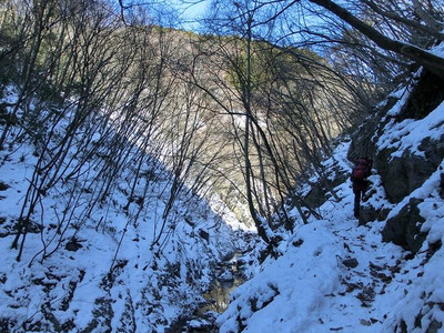 1/29　川苔山_d0288144_20154313.jpg