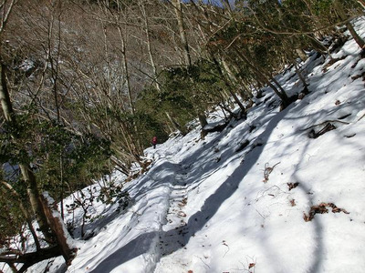 1/29　川苔山_d0288144_20154360.jpg