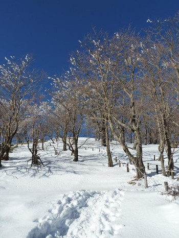 2/19～20　丹沢主脈縦走その2（丹沢山～蛭ヶ岳～焼山）_d0288144_2016479.jpg