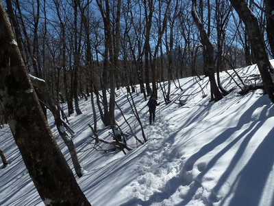 2/19～20　丹沢主脈縦走その2（丹沢山～蛭ヶ岳～焼山）_d0288144_2016793.jpg