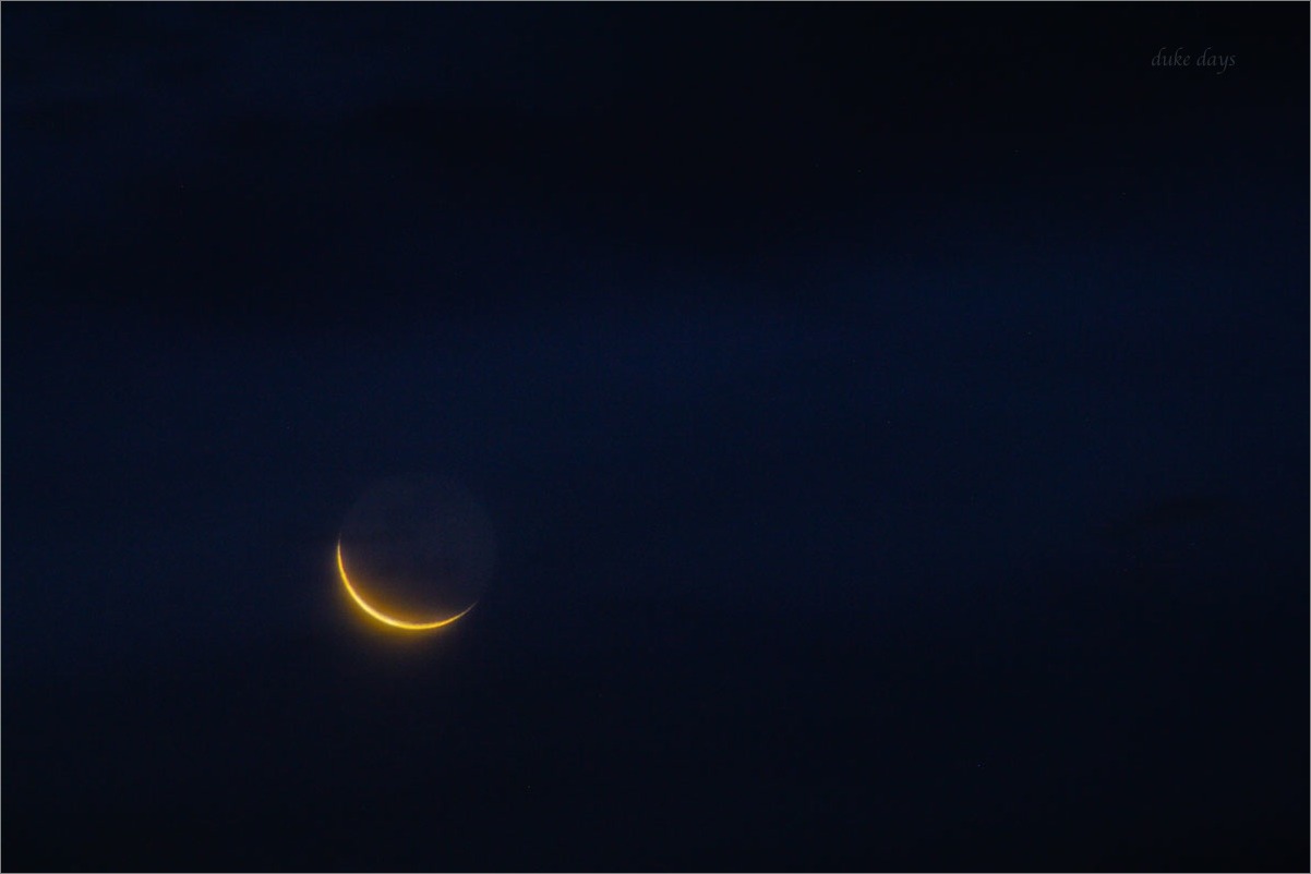 d0058445_19274748.jpg