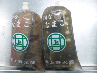 ナマコ/Sea Cucumber_b0203048_12222226.jpg