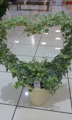 e0156650_2291371.jpg