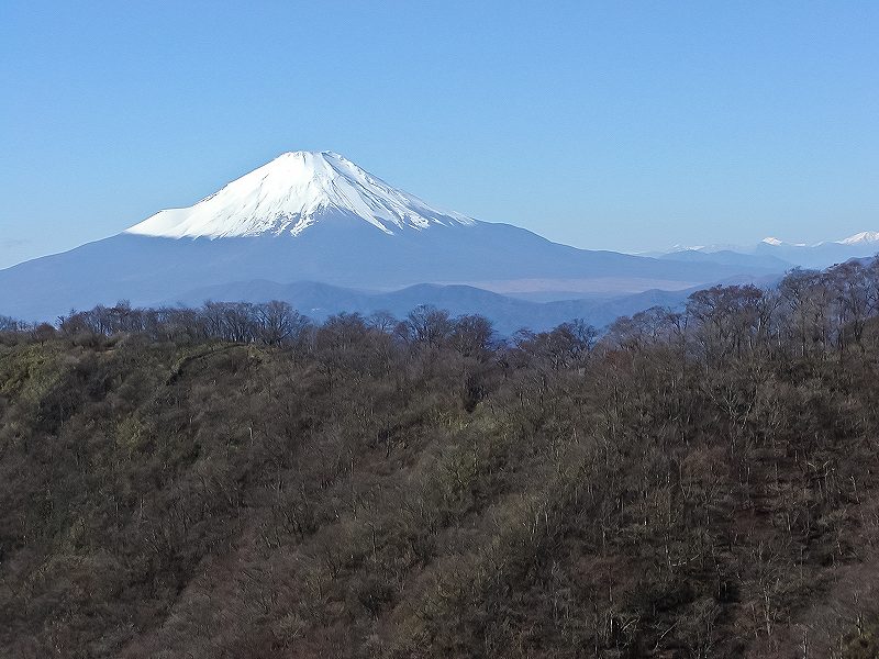 f0044056_945266.jpg