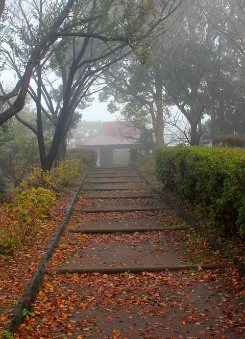 a0248459_19535623.jpg