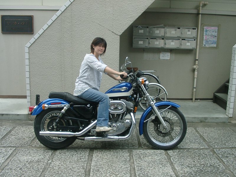 人気を誇る ハーレー 1インチ スポーツスター 1200 純正ハンドル