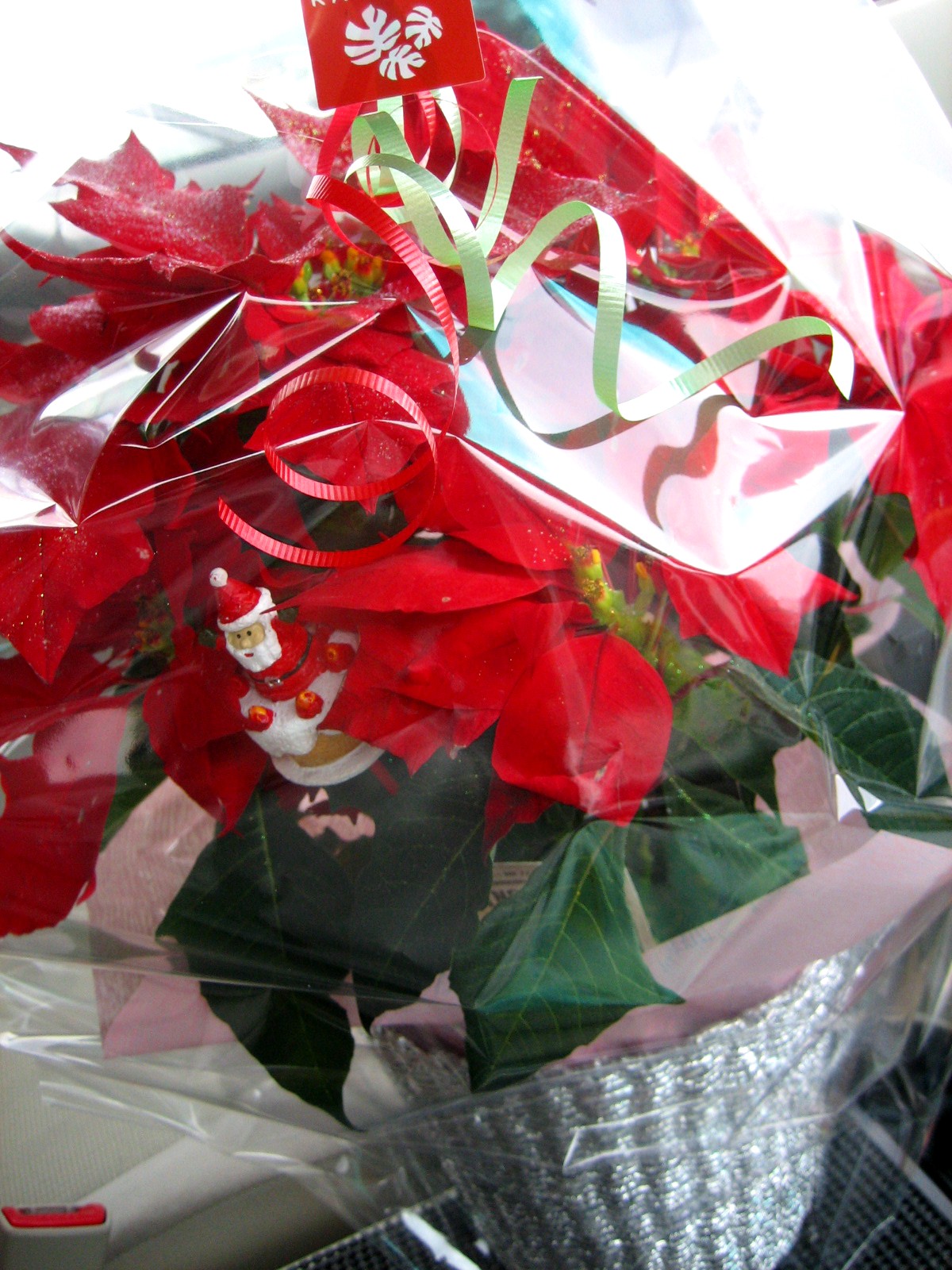 d0161959_17471466.jpg