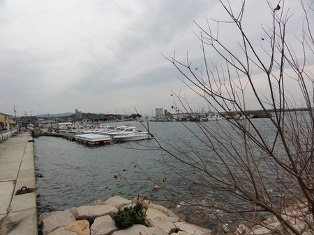 c0108460_18544213.jpg