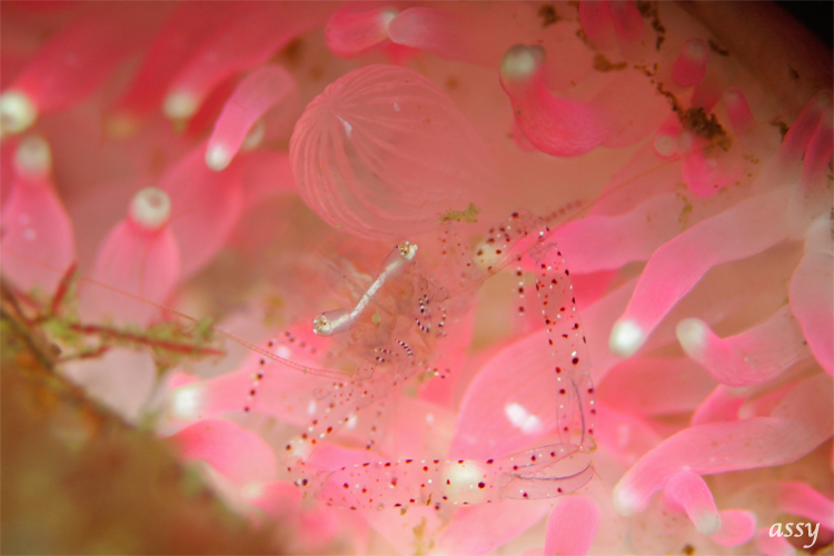 よ〜分からん...@みなべ・田辺_e0158261_8124077.jpg