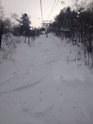 突然ですが・・・北海道一日目_c0151965_017439.jpg