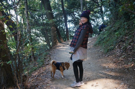 犬連れ高尾山 Tokyo豆柴日記