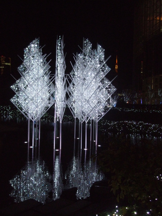 オークリーフ(毛利庭園)_f0049672_16112658.jpg