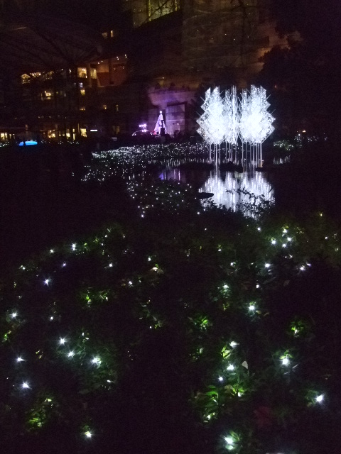 オークリーフ(毛利庭園)_f0049672_16144341.jpg