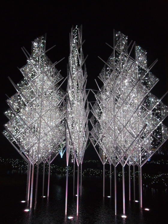 オークリーフ(毛利庭園)_f0049672_16151716.jpg