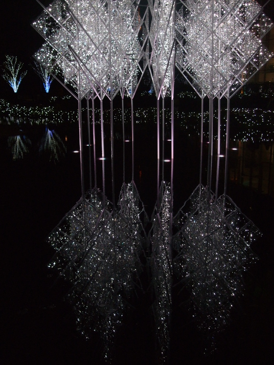 オークリーフ(毛利庭園)_f0049672_16181133.jpg